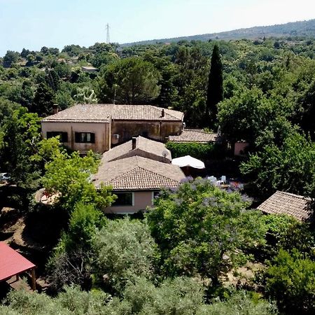 Bed&Breakfast Il Glicine Piedimonte Etneo Exterior foto