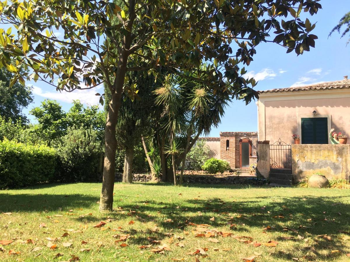 Bed&Breakfast Il Glicine Piedimonte Etneo Zimmer foto