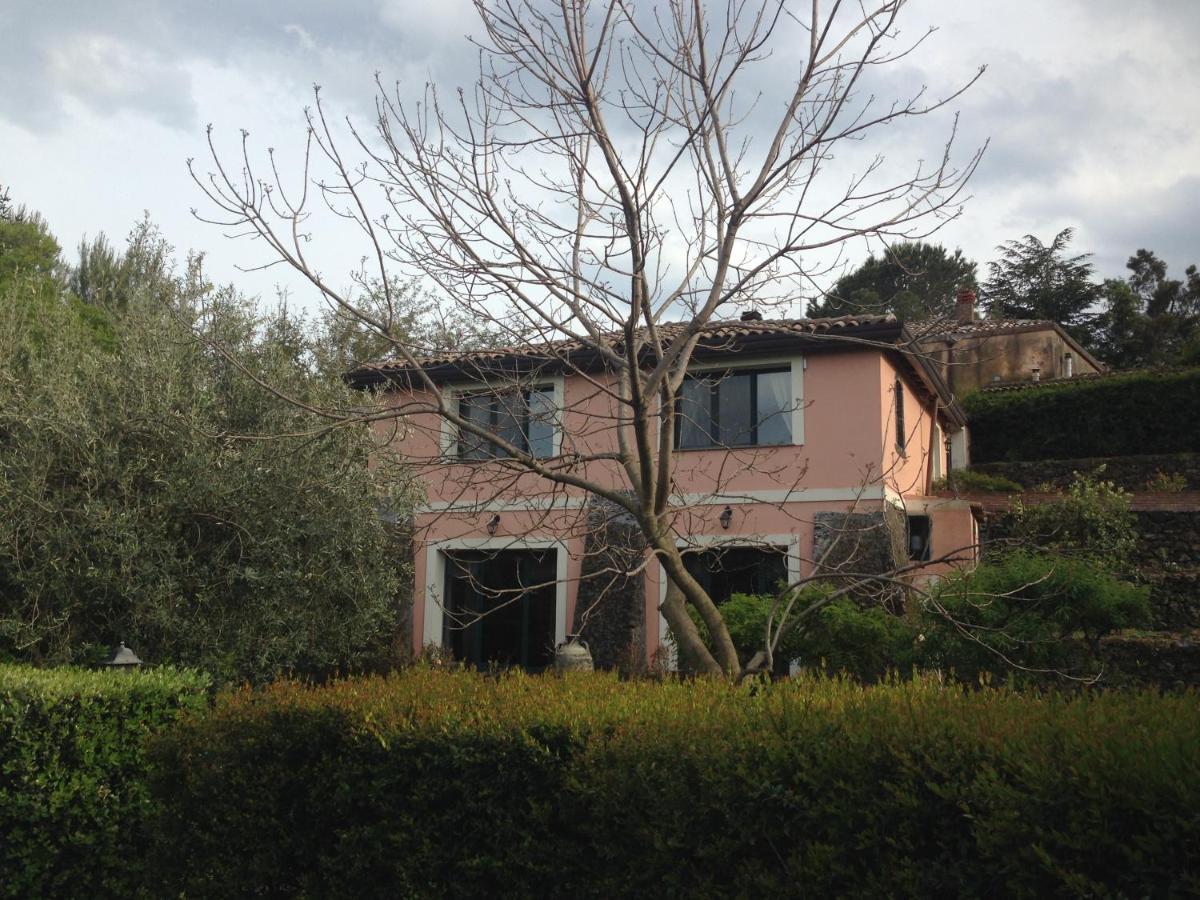 Bed&Breakfast Il Glicine Piedimonte Etneo Exterior foto