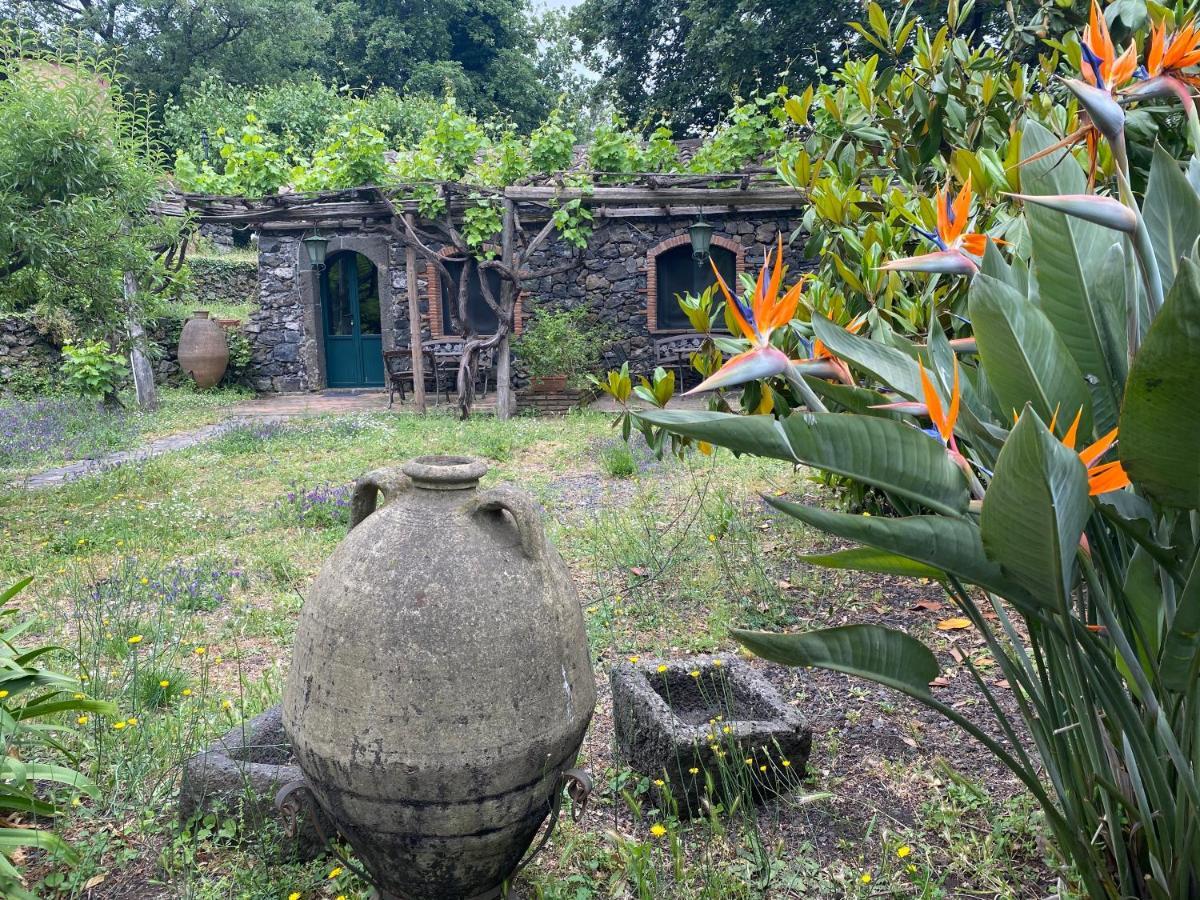 Bed&Breakfast Il Glicine Piedimonte Etneo Exterior foto