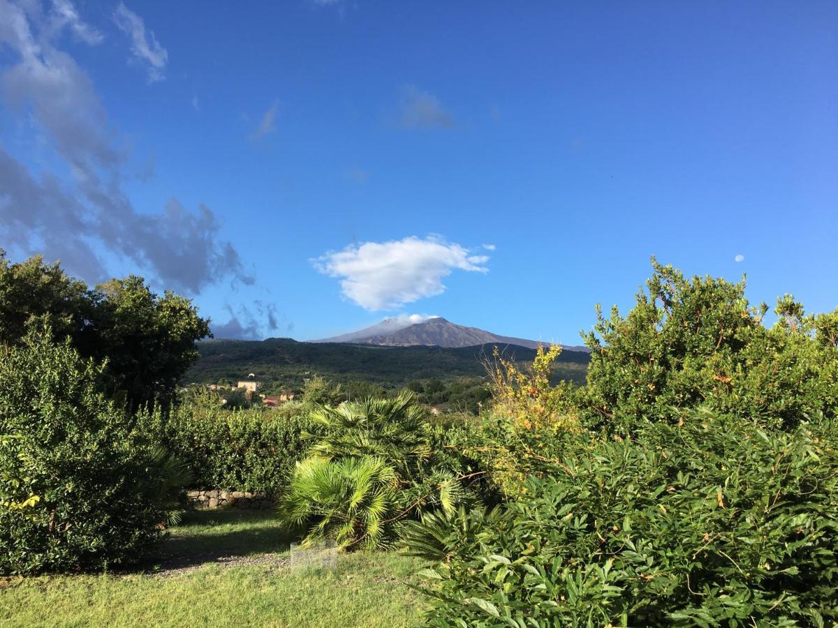 Bed&Breakfast Il Glicine Piedimonte Etneo Exterior foto
