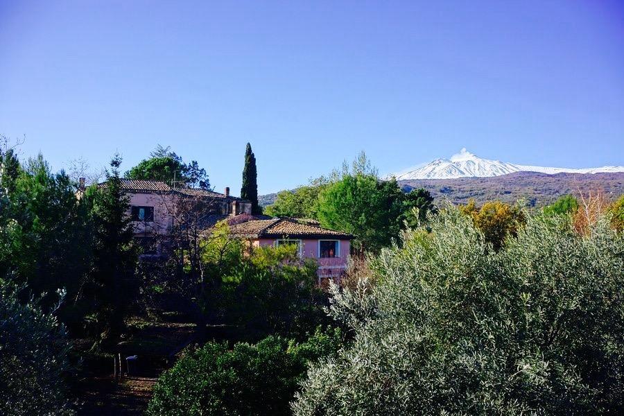 Bed&Breakfast Il Glicine Piedimonte Etneo Exterior foto
